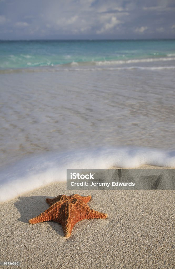 Пляж живописным - Стоковые фото Без людей роялти-фри