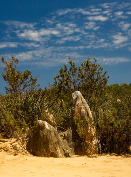 вершины - australia desert pinnacle stone стоковые фото и изображения