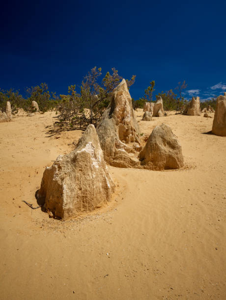 вершины - australia desert pinnacle stone стоковые фото и изображения