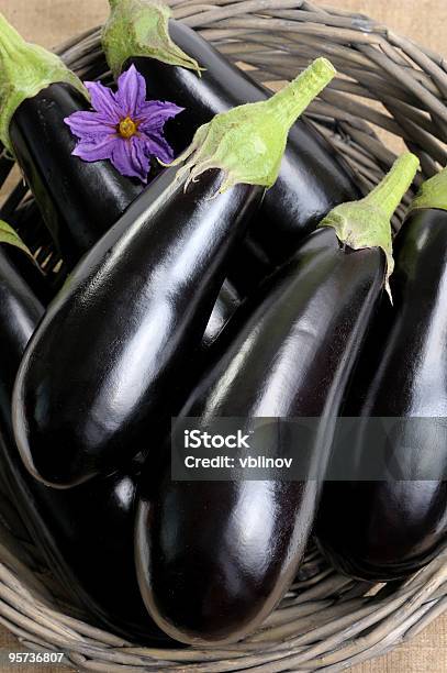 Eggplants - Fotografias de stock e mais imagens de Beringela - Beringela, Cesto, Colheita