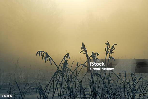 Frosty Mattina Invernale - Fotografie stock e altre immagini di Ambientazione esterna - Ambientazione esterna, Aurora, Bellezza naturale