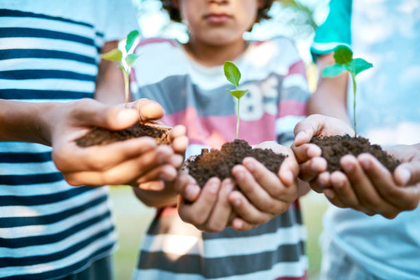 istock As our plants grow, so do we 957368820
