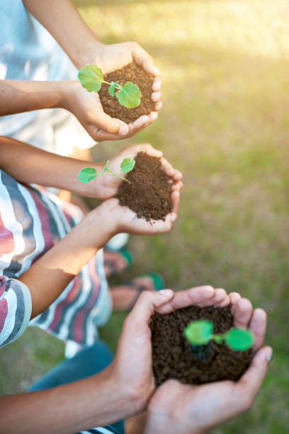 istock How does your garden grow? 957368824