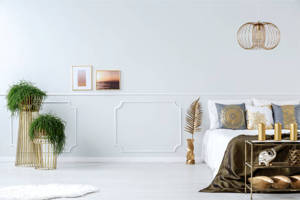 istock Plants, photos and bed 957368900