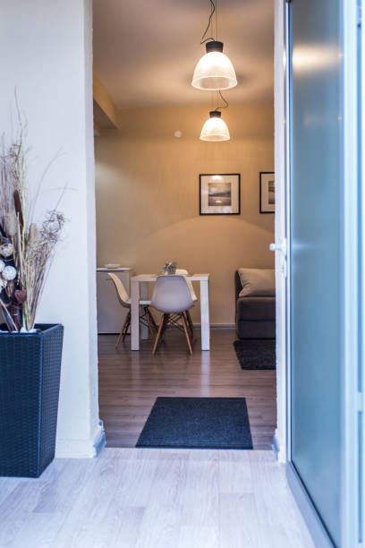istock Entrance of modern apartment 957372912