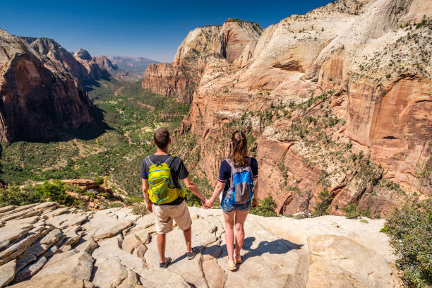 istock Tourists with backpack hiking in Zion 957373448