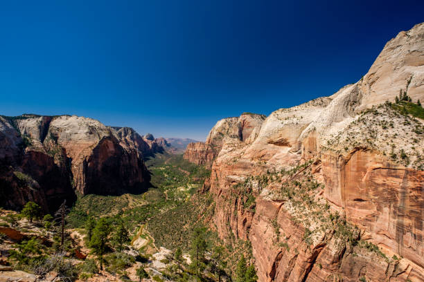 istock Landscape in Zion National Park 957373450
