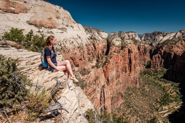 istock Tourist with backpack hiking in Zion 957373466