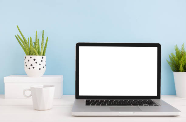 istock Laptop screen in bright workspace with office supplies and plants. 957374058