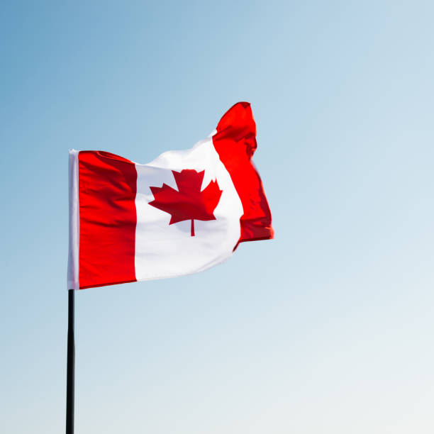 istock Canadian flag waving  against clear blue sky 957374520