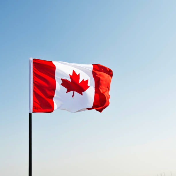 istock Canadian flag waving  against clear blue sky 957374874