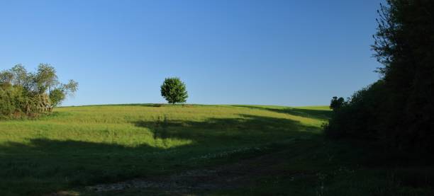 istock Landscape in Thuringia near Obernissa 957374880
