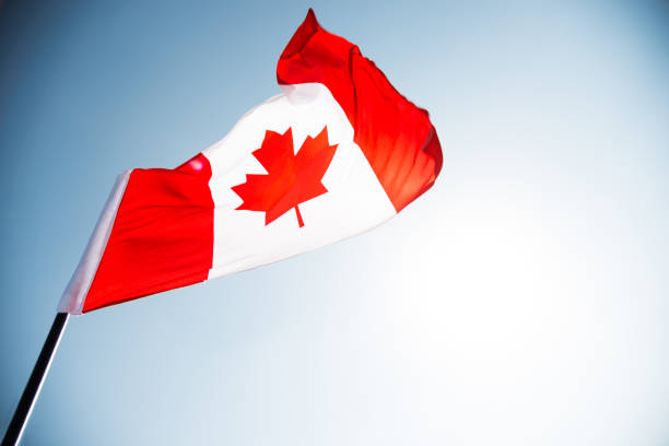 istock Canadian flag waving  against clear blue sky 957375012