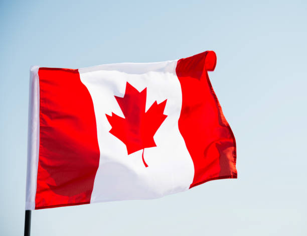 istock Canadian flag waving  against clear blue sky 957375018