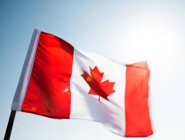 istock Canadian flag waving  against clear blue sky 957375210