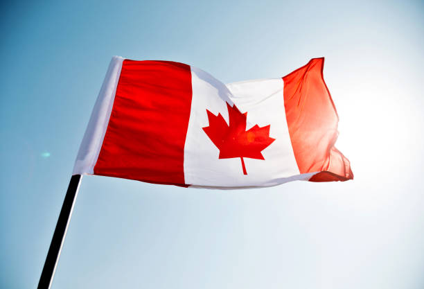 istock Canadian flag waving  against clear blue sky 957375222