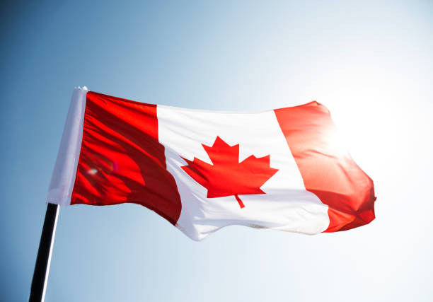 agitar contra el cielo azul de la bandera de canadá - canada canada day canadian flag canadian culture fotografías e imágenes de stock