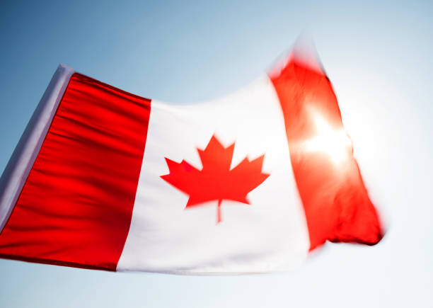 istock Canadian flag waving in the wind 957375478