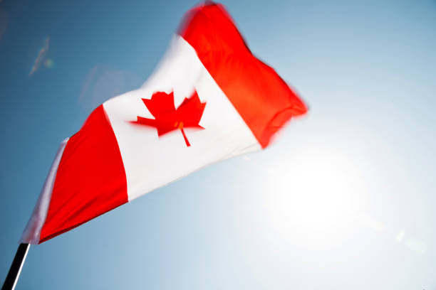 istock Canadian flag waving  against clear blue sky 957375688