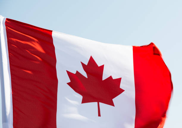 istock Canadian flag waving in the wind 957375800