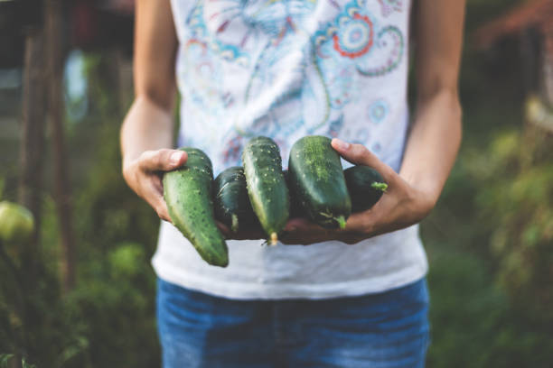 Woman holding fresh vegetables