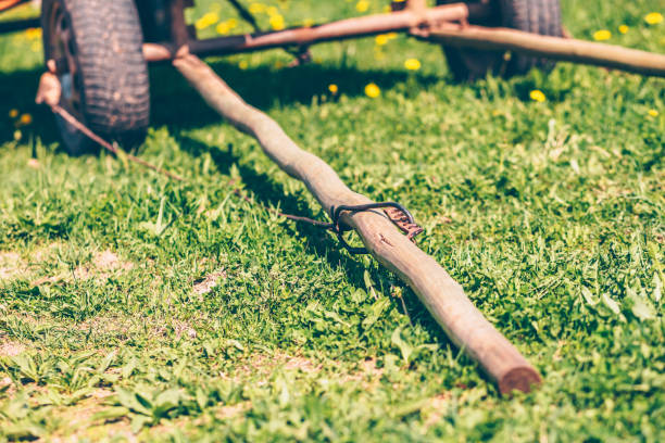 istock Old cart in the field, shafts 957383666