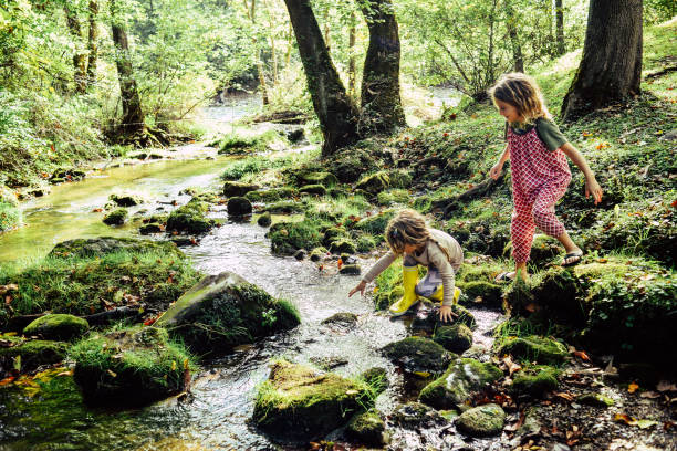 Day at the River Two children having an adventure, climbing and stepping in a river exploring a beautiful natural area. Beautiful, idyllic and tranquil childhood moment. Sisters or friends, innocent and free courage photos stock pictures, royalty-free photos & images