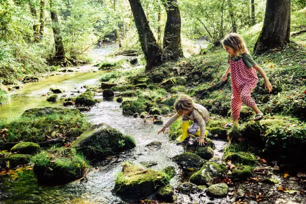 Two children having an adventure, climbing and stepping in a river exploring a beautiful natural area. Beautiful, idyllic and tranquil childhood moment. Sisters or friends, innocent and free