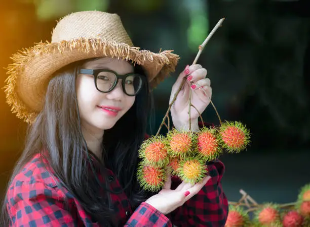 Happy young woman wearing red plaid shirt and hat with rambeh fruit on tree in the garden,Ripe rambi growing in garden/colorful yellow fruit at tree/fruit trade products/gardening of rambeh,