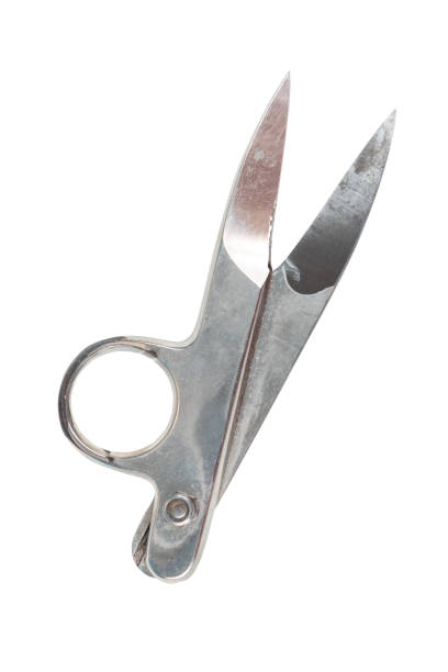 istock Saved path, Old metal sewing scissors isolated on a white background 957398426