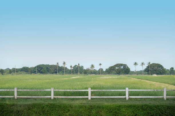 istock White fence and green field 957408302