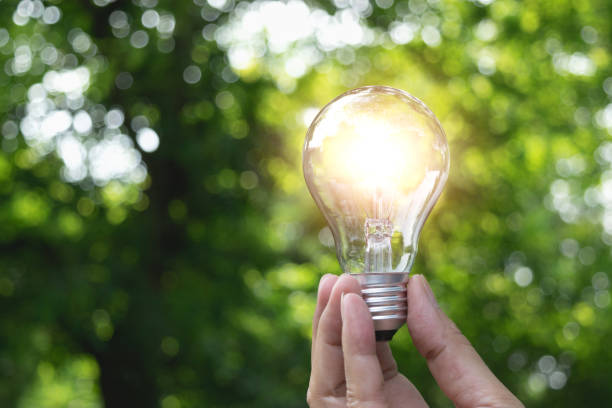 istock hand holding light bulb in garden green nature background. 957410796