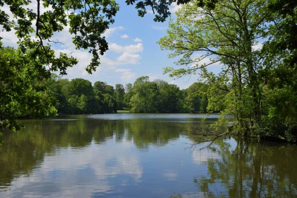 istock beautiful landscape of lakes and trees 957416800