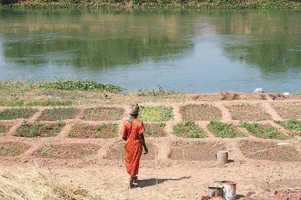 mujer al río - niger fotografías e imágenes de stock