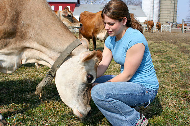 istock Cute girl petting a cow 95742189
