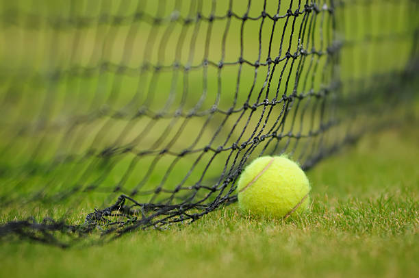 Tennis ball on grass court  wimbledon stock pictures, royalty-free photos & images