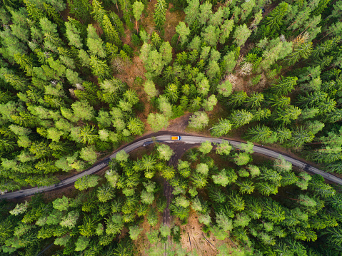 Green forest aerial drone view. Road with truck in forest from above. Transportation background.