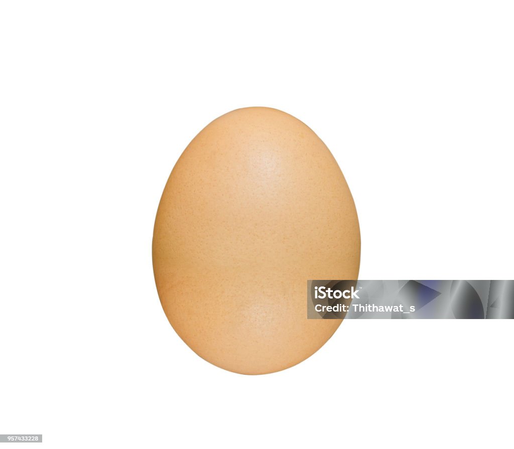 美しい 1 つの卵と完璧な分離に白い背景。 - たんぱく質のロイヤリティフリーストックフォト