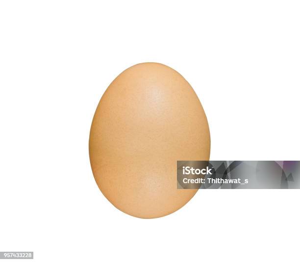 美しい 1 つの卵と完璧な分離に白い背景 - たんぱく質のストックフォトや画像を多数ご用意 - たんぱく質, イースター, オーガニック