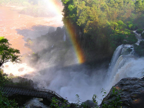 istock Iguacu Falls-Argentina 957437942