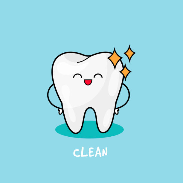 Happy tooth icon. Cute tooth characters. Illustration for children dentistry. Oral hygiene, teeth cleaning Clean Tooth shinning. Dental personage vector illustration. cute cartoon dental implants stock illustrations