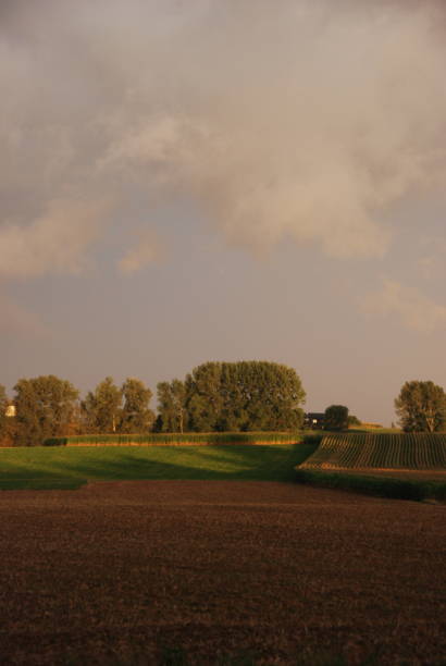 istock rural scene meadow with rainbow and stormcloud 957439734