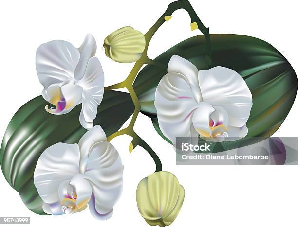 Orquídea Blooms Malha De Gradiente - Arte vetorial de stock e mais imagens de Cabeça de Flor - Cabeça de Flor, Flor, Ilustração