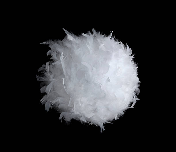 istock ball made out of white feathers 95744060