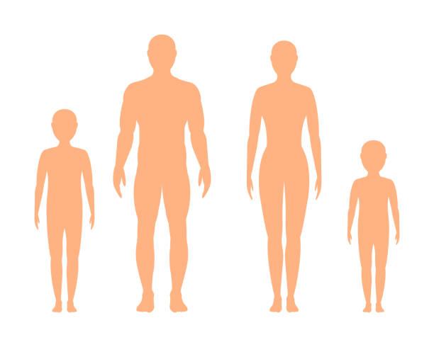 ilustrações de stock, clip art, desenhos animados e ícones de male, female and children's  silhouette on white background, vector. - man silhouette