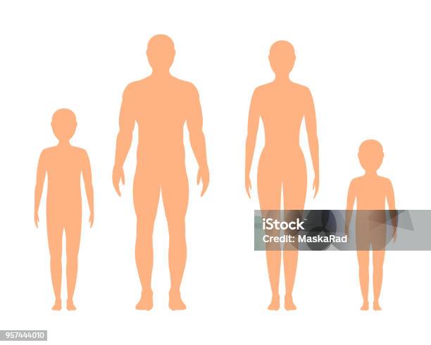 Male Female And Childrens Silhouette On White Background Vector Stock Illustration - Download Image Now