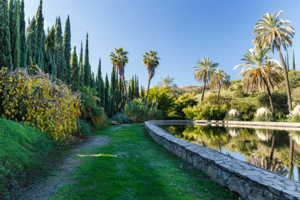 istock Palm trees, firs and lagoon in a garden 957447972