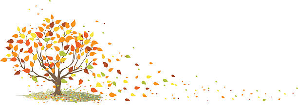 ilustraciones, imágenes clip art, dibujos animados e iconos de stock de fall tree with se deja soplando en el viento - falling leaf tree autumn