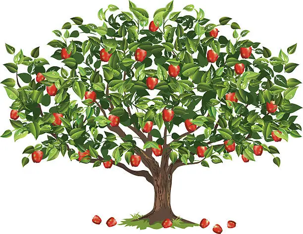 Vector illustration of Apple Tree Filled With Ripe Fruit Ready For Harvest