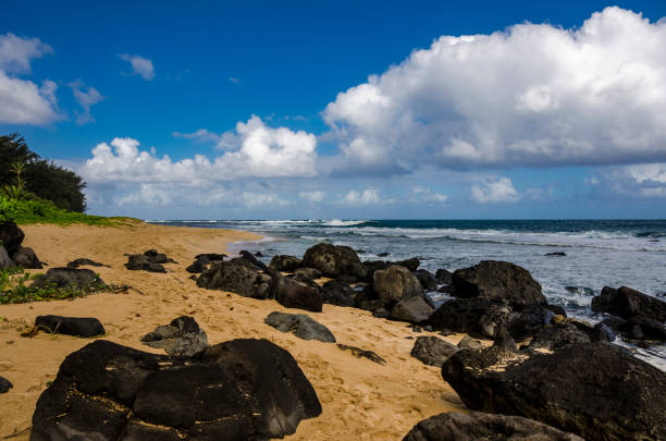 istock Lava Rocks on the Beach in Kauai, Hawaii 957454712